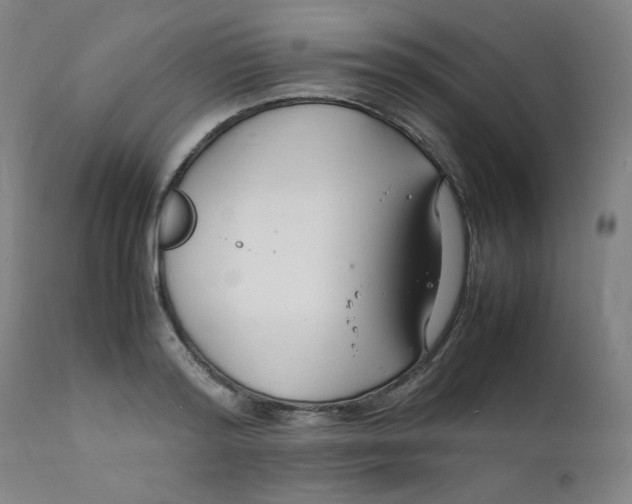 X0000112150796200909041102