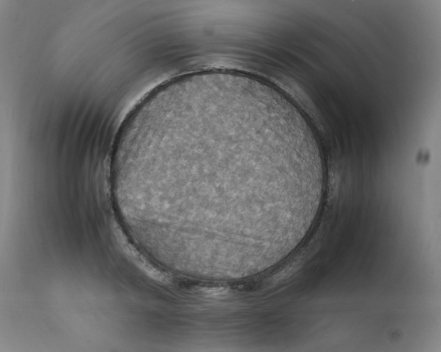 X0000112150798200909041102