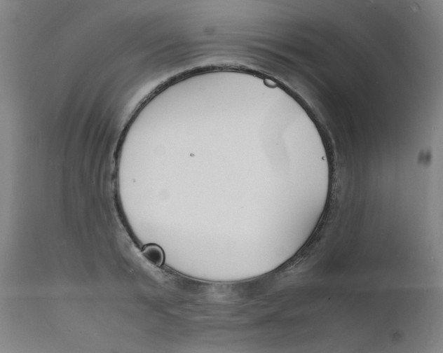 X0000112150799200909041102