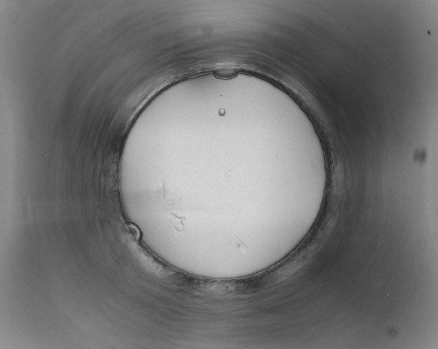 X0000112150801200909041102