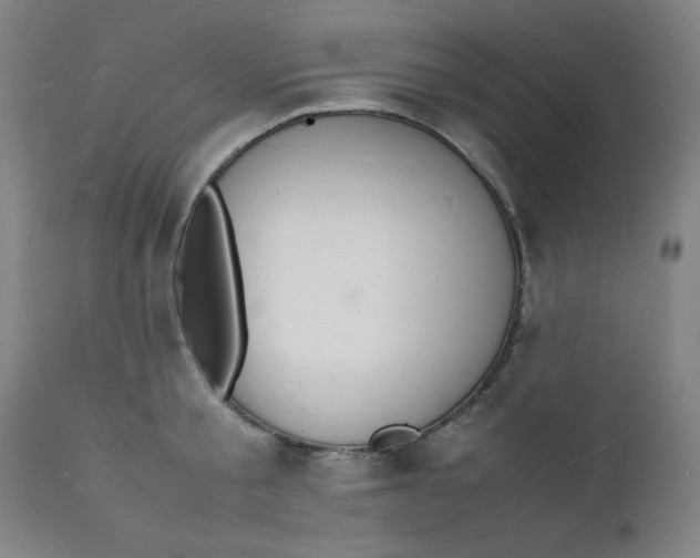 X0000112150805200909041102