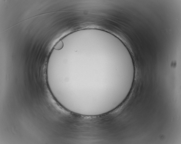 X0000112150806200909041102