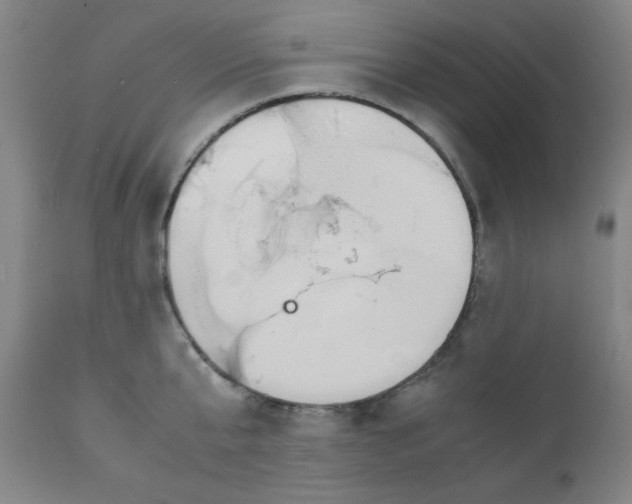 X0000112150807200909041102