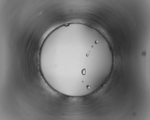 X0000112150808200909041102