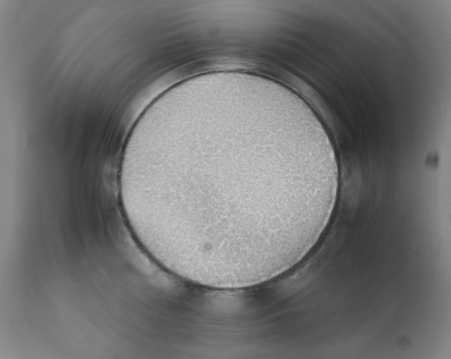 X0000112150810200909041102