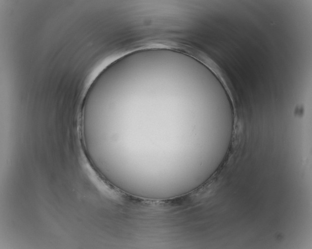 X0000112150811200909041102