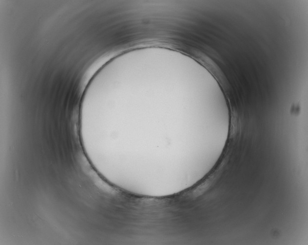 X0000112150812200909041102