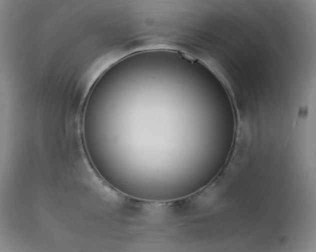 X0000112150813200909041102