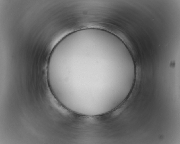 X0000112150814200909041102