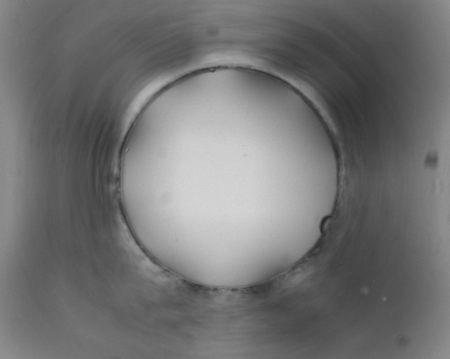 X0000112150815200909041102