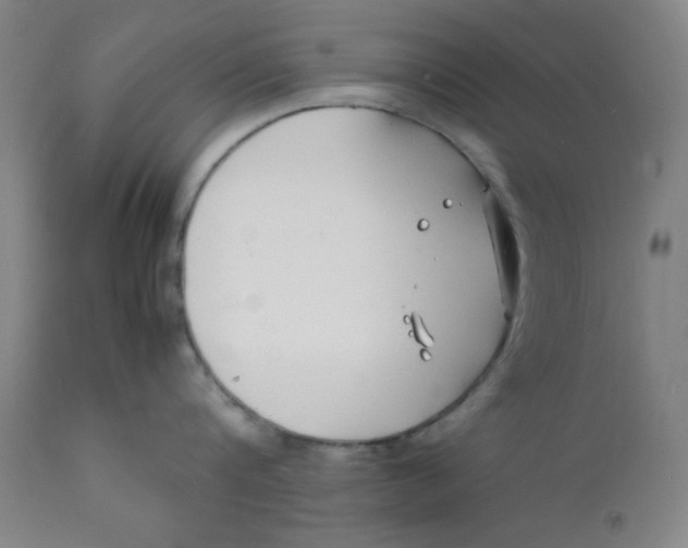 X0000112150816200909041102