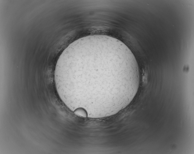 X0000112150819200909041101