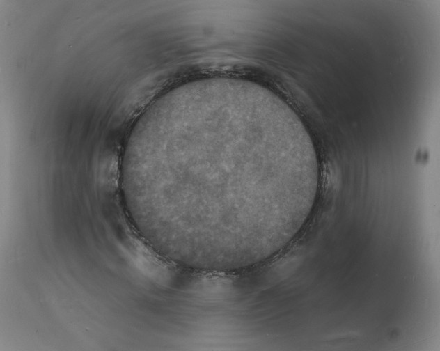 X0000112150820200909041101