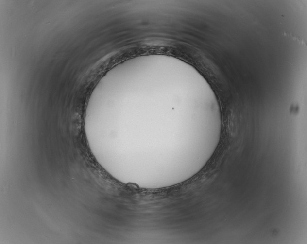 X0000112150821200909041101