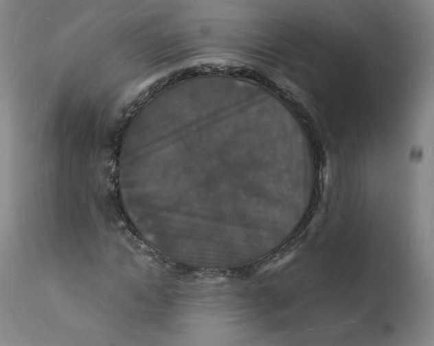 X0000112150822200909041101