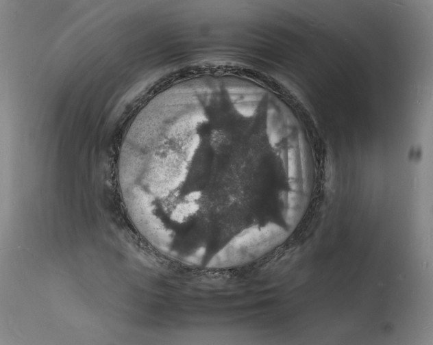 X0000112150823200909041101