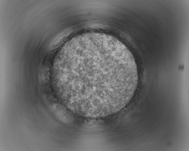 X0000112150824200909041101