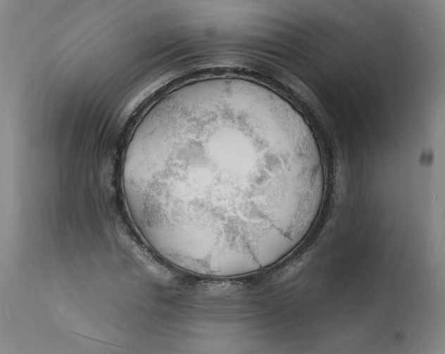 X0000112150826200909041101