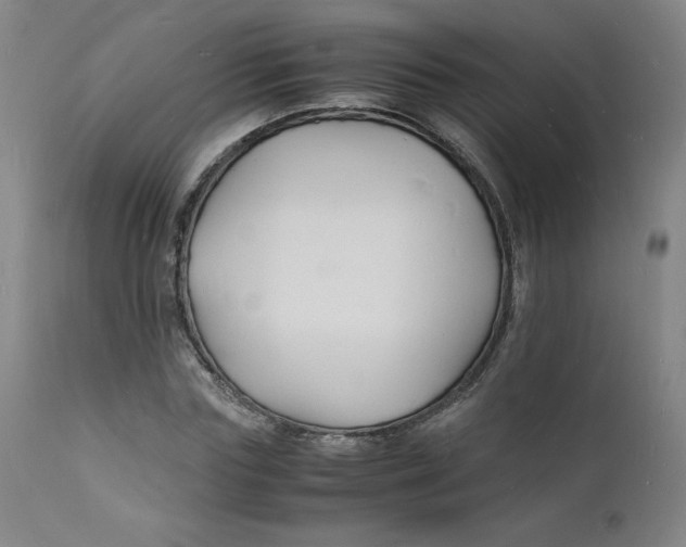 X0000112150827200909041101