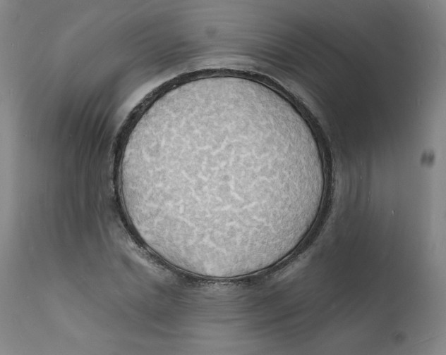 X0000112150830200909041101