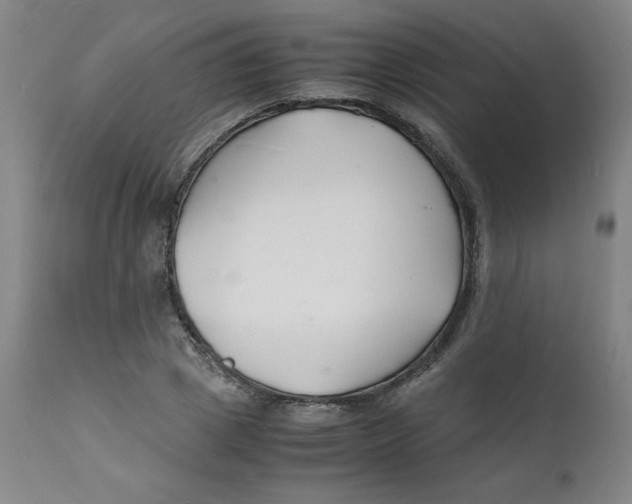 X0000112150833200909041101