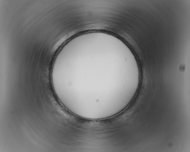 X0000112150834200909041101