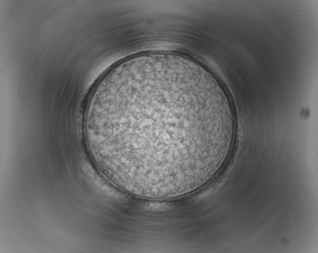 X0000112150835200909041101