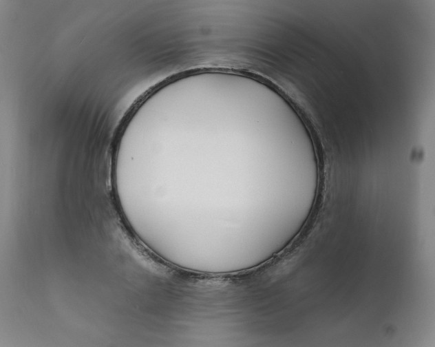 X0000112150838200909041101