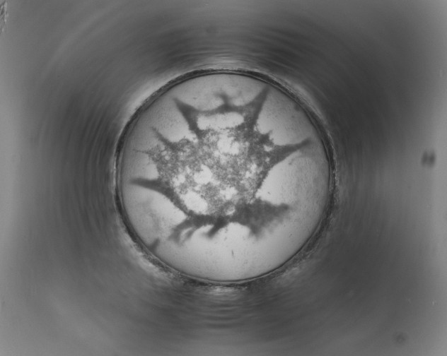 X0000112150839200909041101