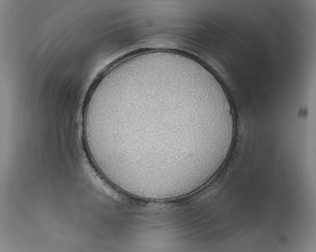 X0000112150840200909041101