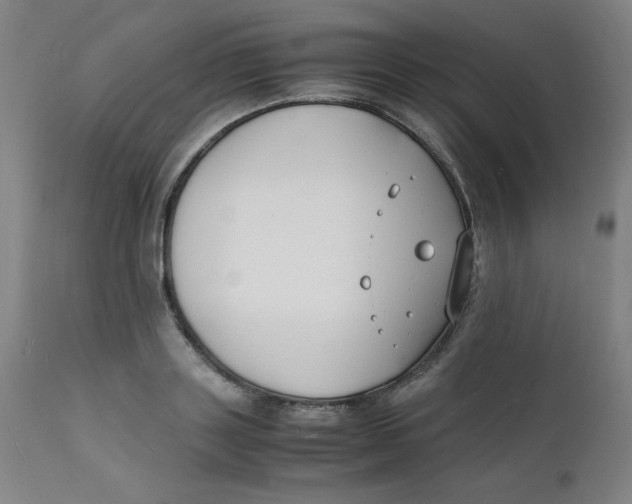 X0000112150843200909041101