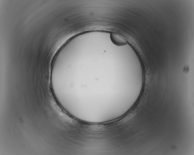 X0000112150844200909041101