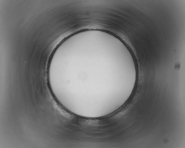 X0000112150845200909041101