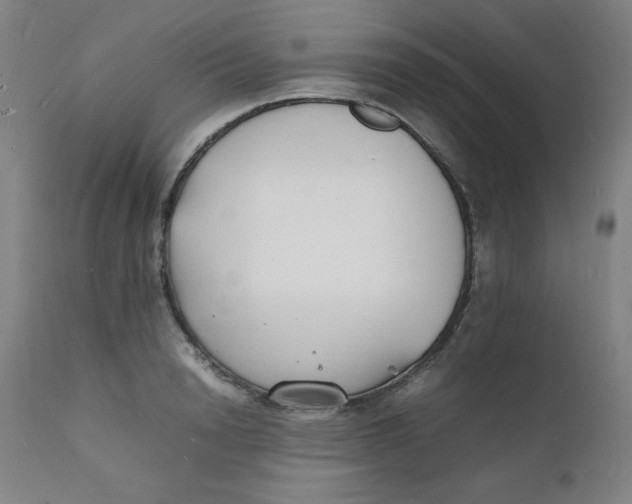 X0000112150846200909041101