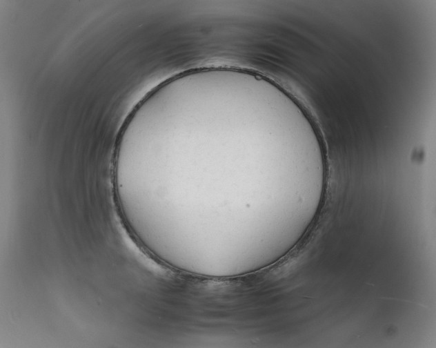 X0000112150847200909041101