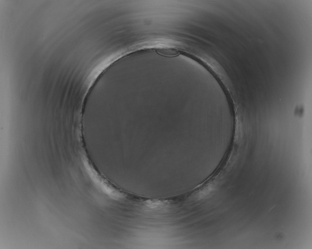 X0000112150850200909041102