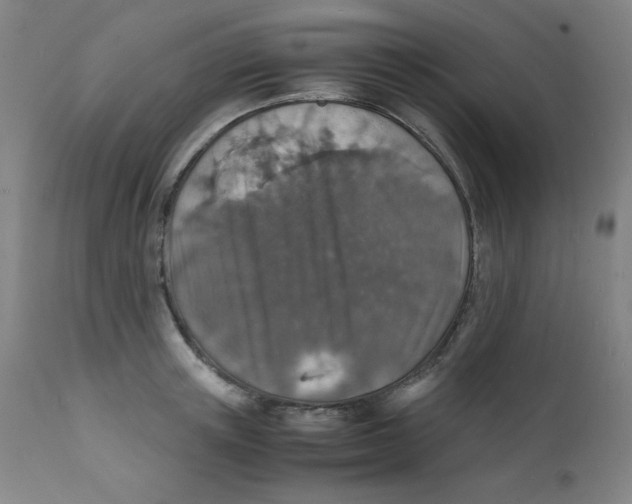 X0000112150851200909041102