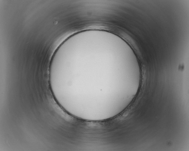 X0000112150852200909041102