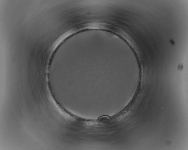 X0000112150853200909041102