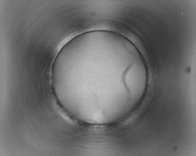 X0000112150858200909041102