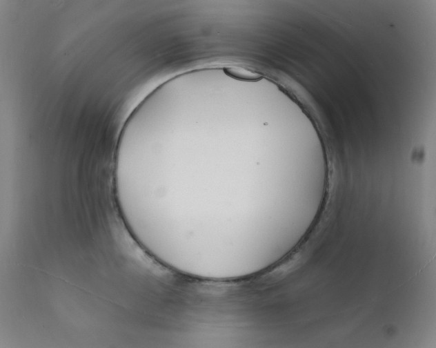 X0000112150860200909041102