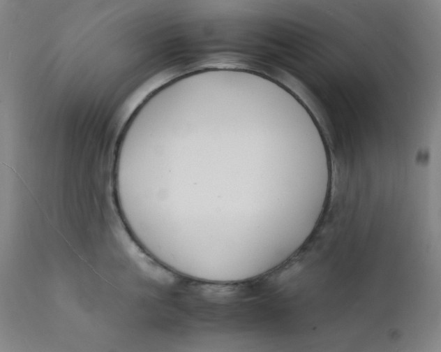 X0000112150861200909041102