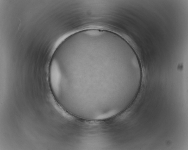 X0000112150862200909041102