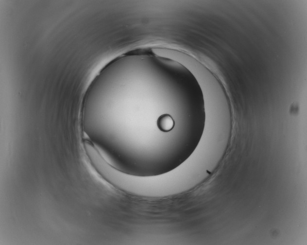 X0000112150863200909041102