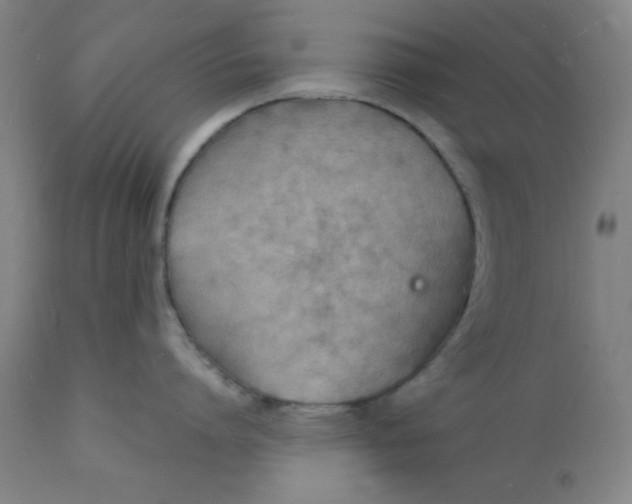 X0000112150864200909041102