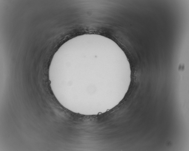 X0000112150865200909041101