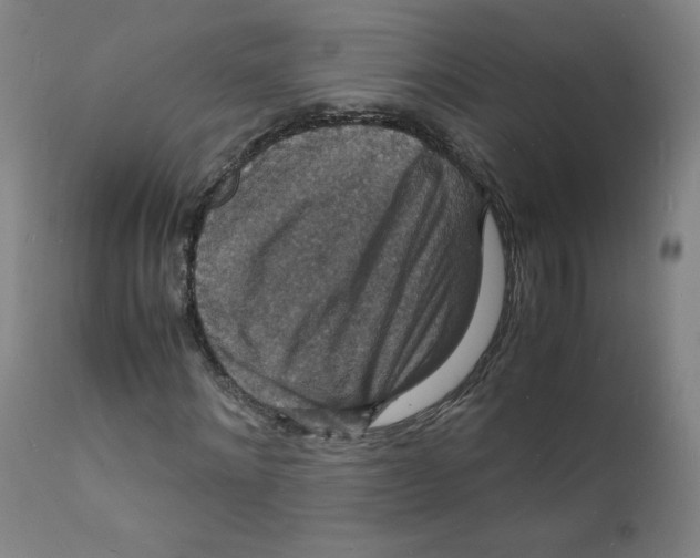 X0000112150868200909041101