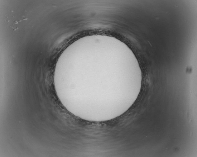 X0000112150869200909041101