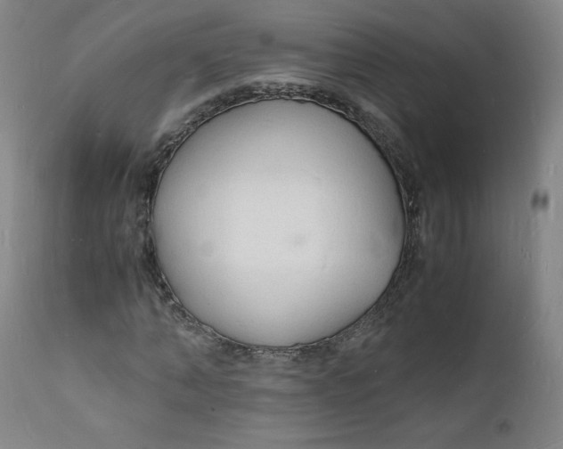 X0000112150870200909041101