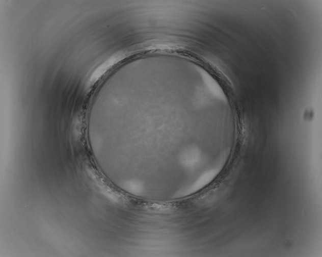 X0000112150874200909041101